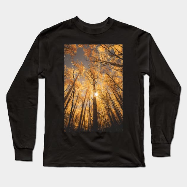 Sunburst Through Autumn Aspen Grove Long Sleeve T-Shirt by ElevatedCT